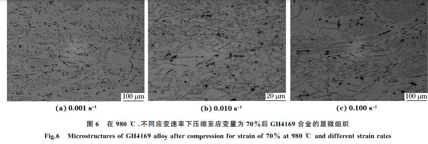 圖６ 在９８０ ℃、不同應(yīng)變速率下壓縮至應(yīng)變量為７０％